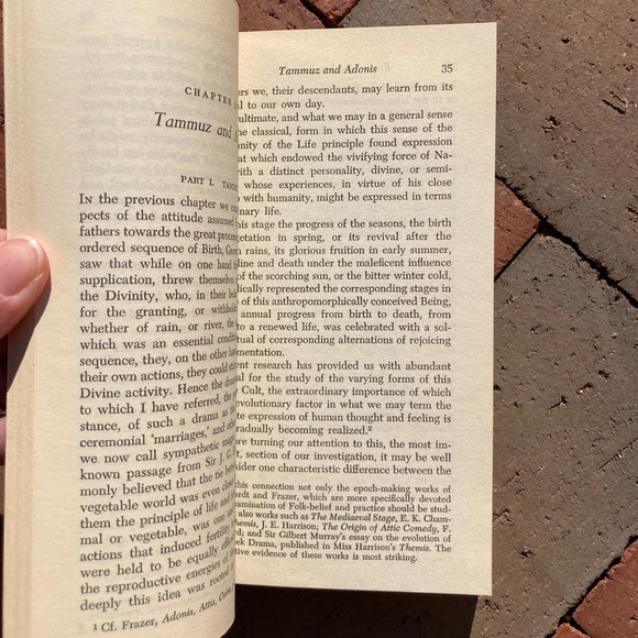 From Ritual to Romance Holy Grail Medieval Golden Bough Edward Gorey Myth - Picture 3 of 7